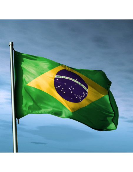 Steag Brazilia