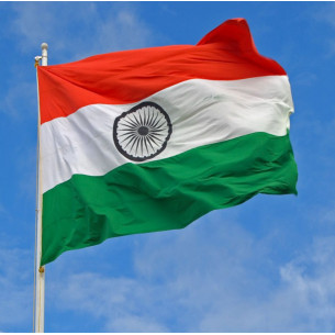 Steag India