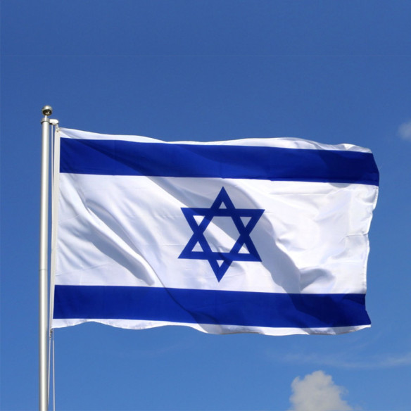 Steag Israel