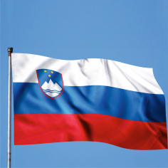 Steag Slovenia