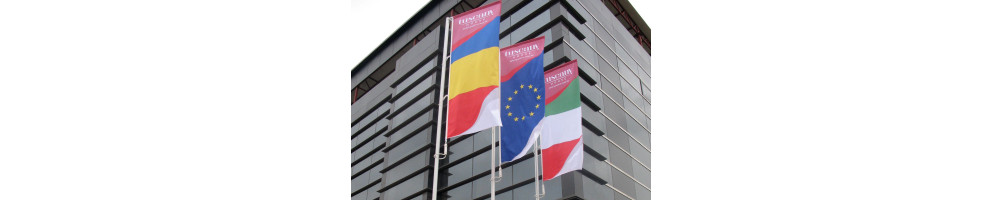 Steaguri personalizate | Imprimare steaguri cu logo și design propriu