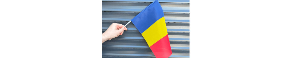 Stegulețe de mână | Drapele mici pentru parade, evenimente și școli