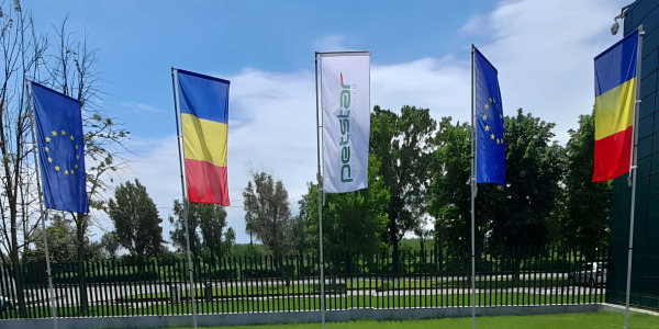 Un alt proiect drag noua - drapele Romania, UE si PetStar Holding